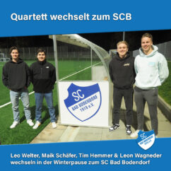 Quartett Kopie