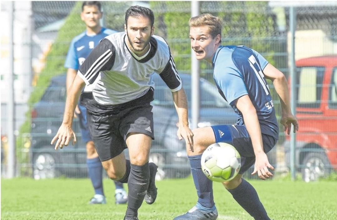 Rz 150319 Walporzheim Remagen Vollrath