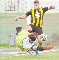 Rz 021120 Grafschaft Vollrath