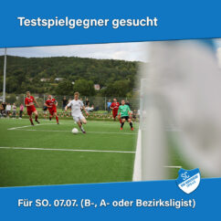 Testspiel