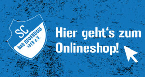 Scb Teaser Website 221019