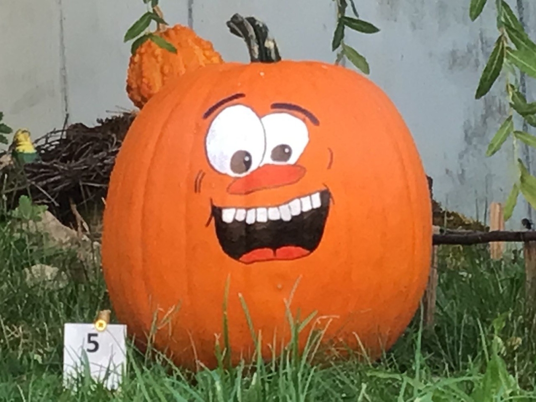 Kraus Luis 131221 Kuerbisse 2