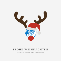 Braun Rot Einfach Modern Frohe Weihnachten Instagram Beitrag